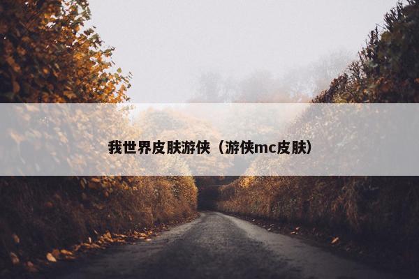 我世界皮肤游侠（游侠mc皮肤）