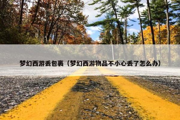 梦幻西游丢包裹（梦幻西游物品不小心丢了怎么办）