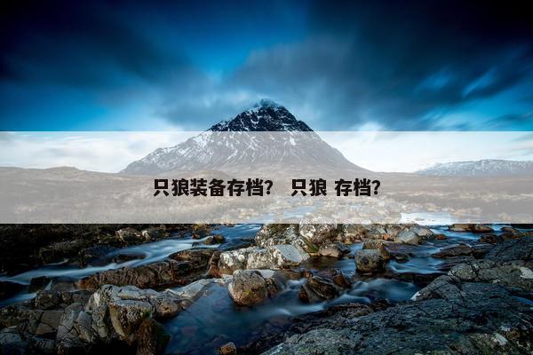 只狼装备存档？ 只狼 存档？
