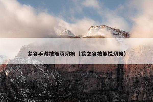 龙谷手游技能页切换（龙之谷技能栏切换）