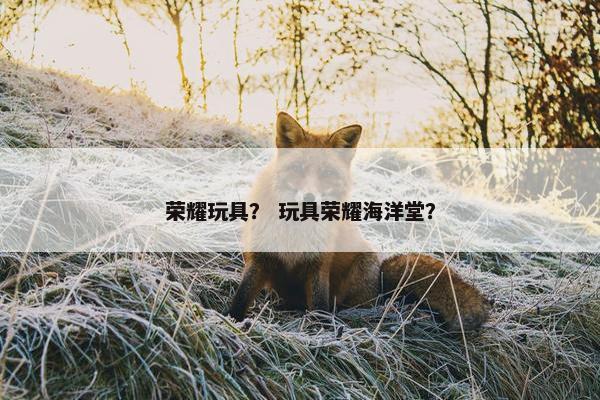 荣耀玩具？ 玩具荣耀海洋堂？