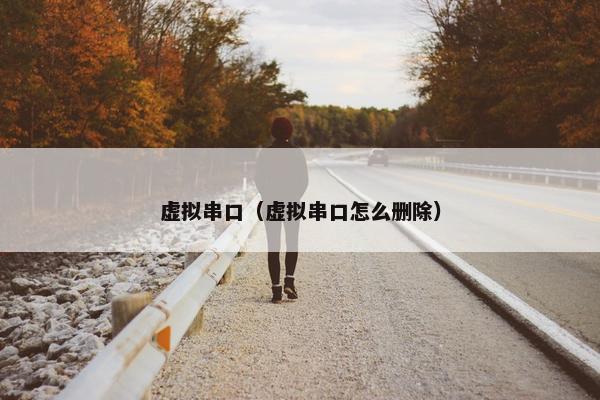 虚拟串口（虚拟串口怎么删除）