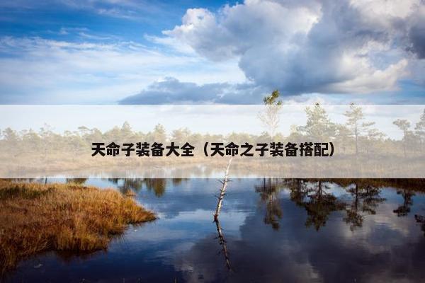 天命子装备大全（天命之子装备搭配）