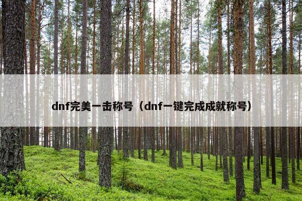 dnf完美一击称号（dnf一键完成成就称号）