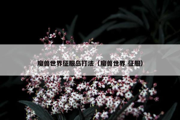 魔兽世界征服岛打法（魔兽世界 征服）