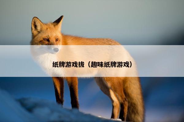 纸牌游戏拔（趣味纸牌游戏）