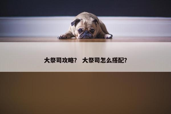 大祭司攻略？ 大祭司怎么搭配？