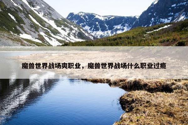 魔兽世界战场爽职业，魔兽世界战场什么职业过瘾