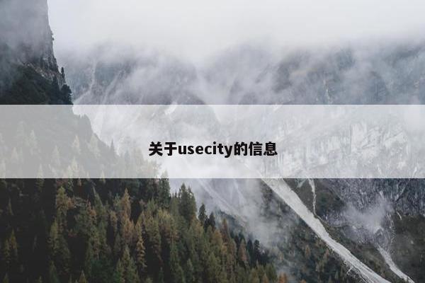 关于usecity的信息