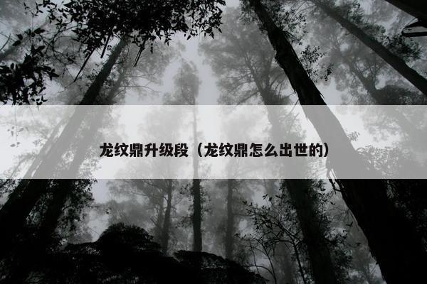 龙纹鼎升级段（龙纹鼎怎么出世的）