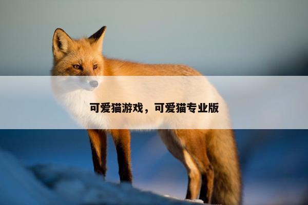 可爱猫游戏，可爱猫专业版