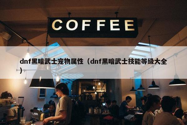 dnf黑暗武士宠物属性（dnf黑暗武士技能等级大全）