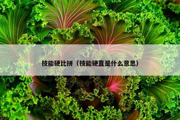技能硬比拼（技能硬直是什么意思）