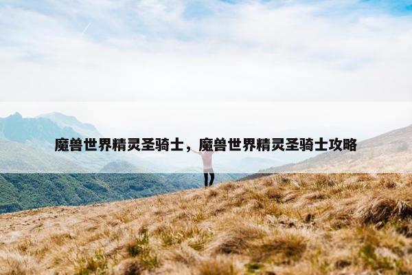 魔兽世界精灵圣骑士，魔兽世界精灵圣骑士攻略