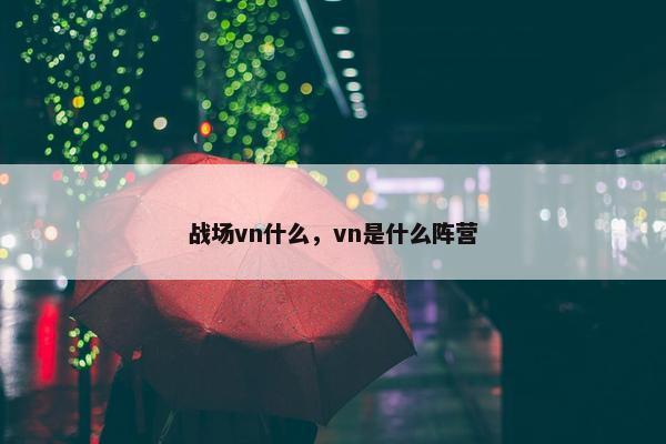 战场vn什么，vn是什么阵营