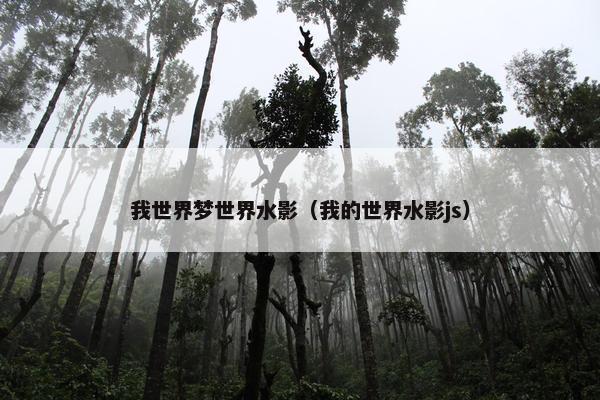 我世界梦世界水影（我的世界水影js）