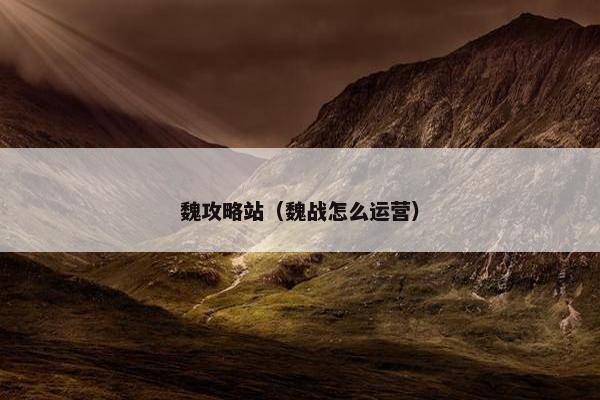 魏攻略站（魏战怎么运营）