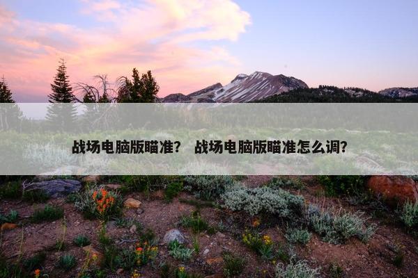 战场电脑版瞄准？ 战场电脑版瞄准怎么调？