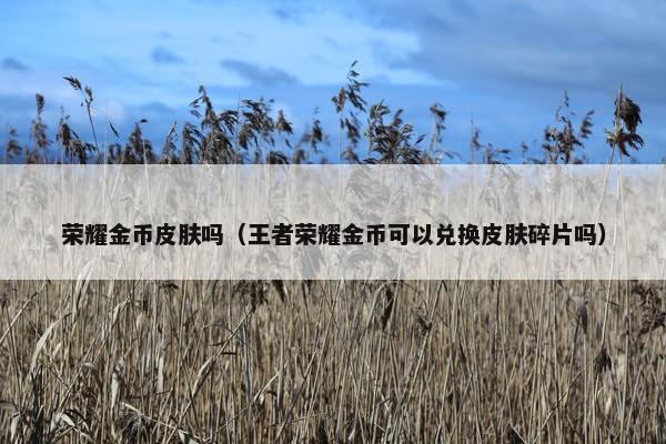 荣耀金币皮肤吗（王者荣耀金币可以兑换皮肤碎片吗）