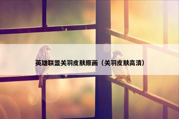 英雄联盟关羽皮肤原画（关羽皮肤高清）