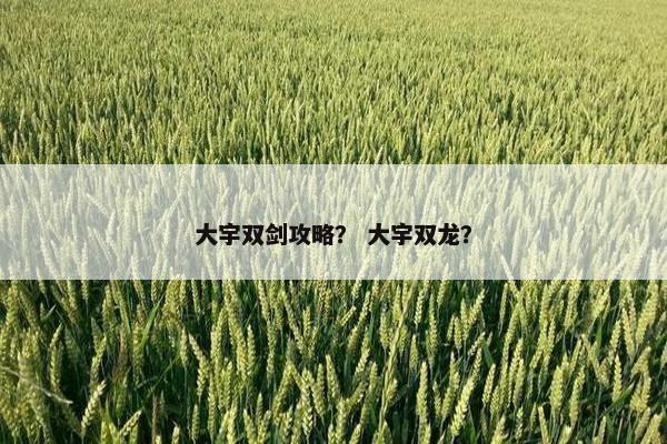 大宇双剑攻略？ 大宇双龙？