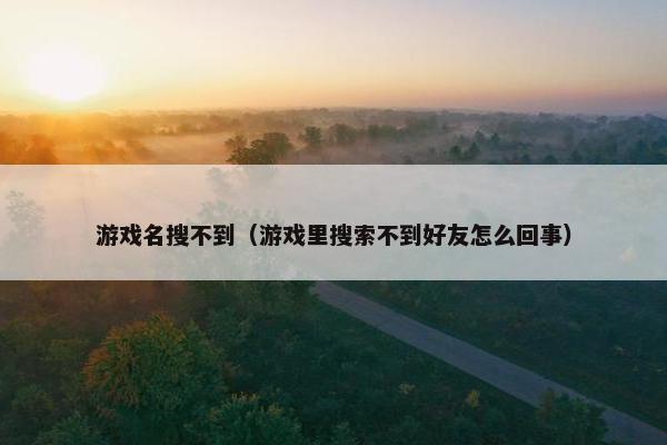 游戏名搜不到（游戏里搜索不到好友怎么回事）