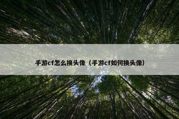 手游cf怎么换头像（手游cf如何换头像）