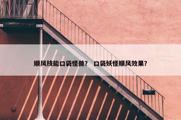 顺风技能口袋怪兽？ 口袋妖怪顺风效果？