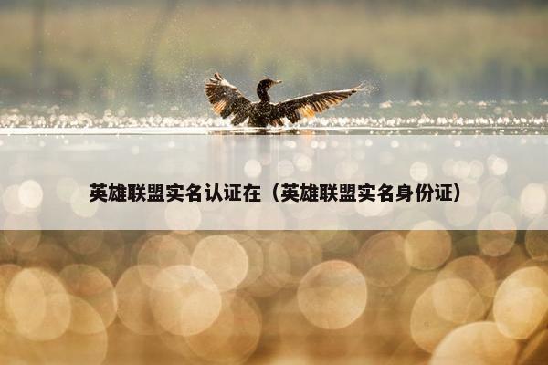 英雄联盟实名认证在（英雄联盟实名身份证）