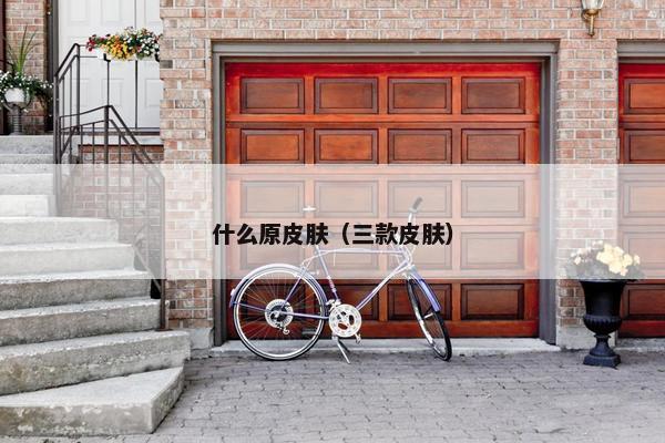 什么原皮肤（三款皮肤）
