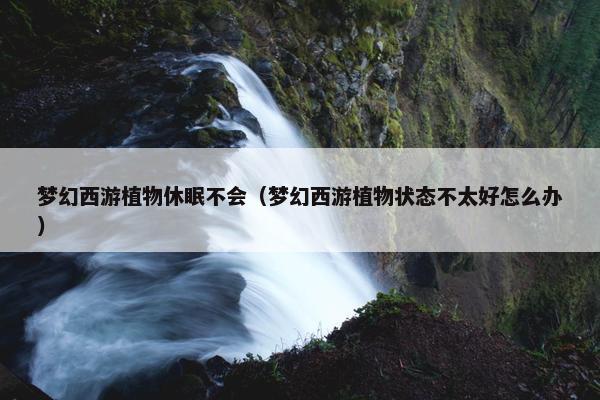 梦幻西游植物休眠不会（梦幻西游植物状态不太好怎么办）