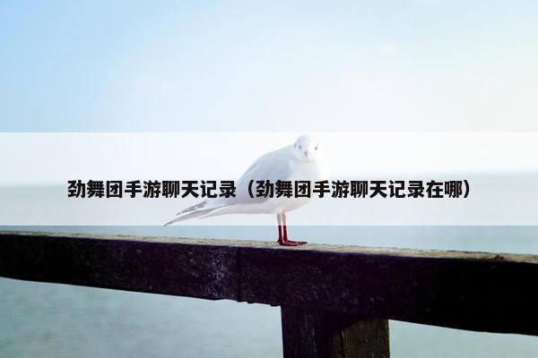 劲舞团手游聊天记录（劲舞团手游聊天记录在哪）