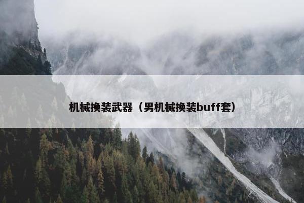 机械换装武器（男机械换装buff套）