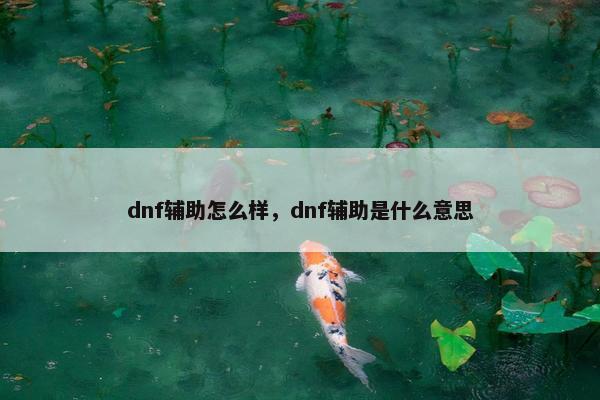 dnf辅助怎么样，dnf辅助是什么意思