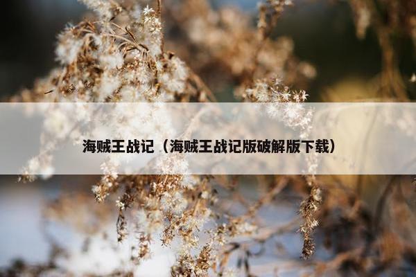海贼王战记（海贼王战记版破解版下载）