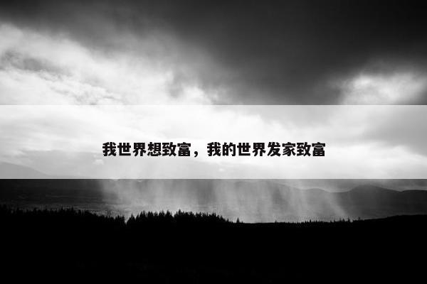 我世界想致富，我的世界发家致富