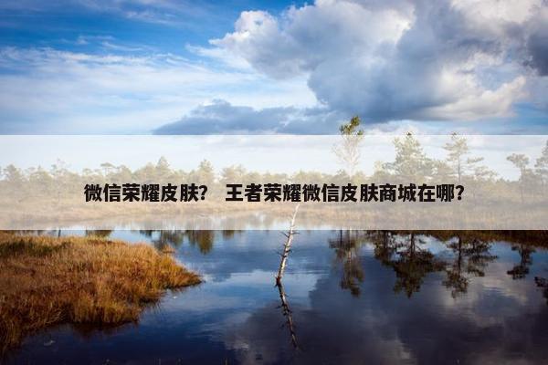 微信荣耀皮肤？ 王者荣耀微信皮肤商城在哪？
