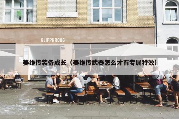 姜维传装备成长（姜维传武器怎么才有专属特效）