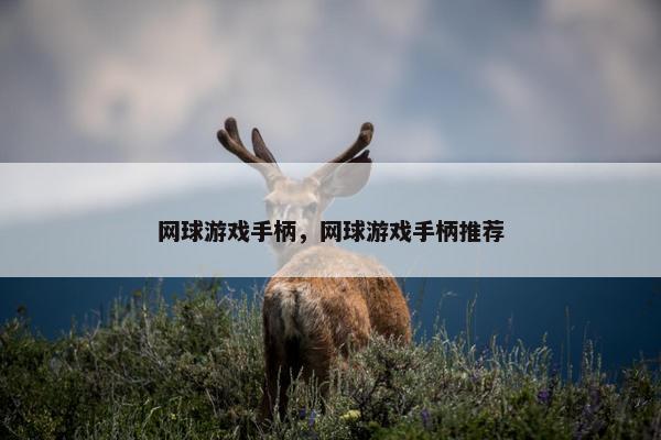网球游戏手柄，网球游戏手柄推荐