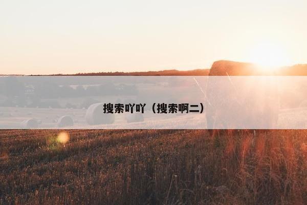 搜索吖吖（搜索啊二）