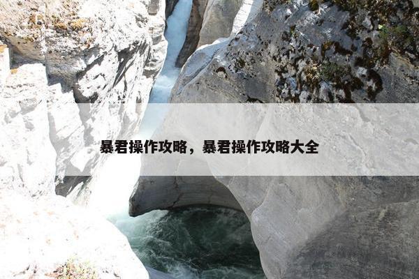 暴君操作攻略，暴君操作攻略大全