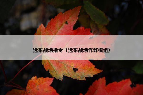 远东战场指令（远东战场作弊模组）