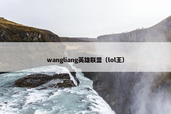 wangliang英雄联盟（lol王）