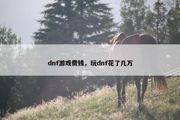 dnf游戏费钱，玩dnf花了几万