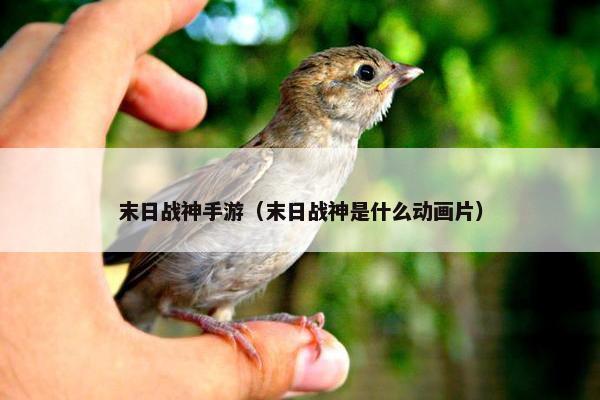 末日战神手游（末日战神是什么动画片）