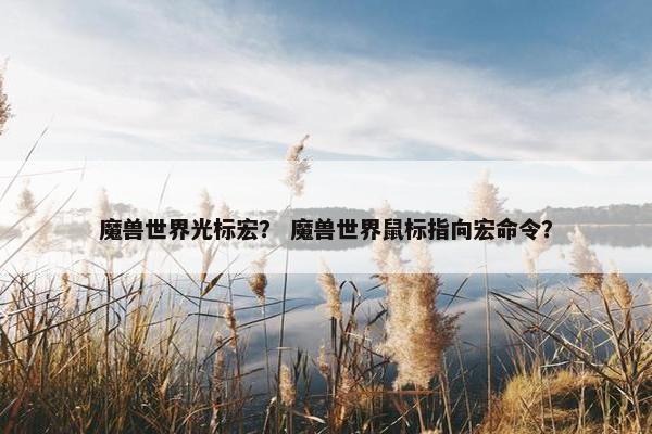 魔兽世界光标宏？ 魔兽世界鼠标指向宏命令？