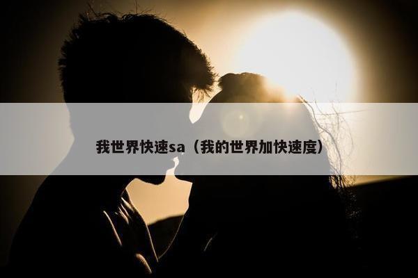 我世界快速sa（我的世界加快速度）