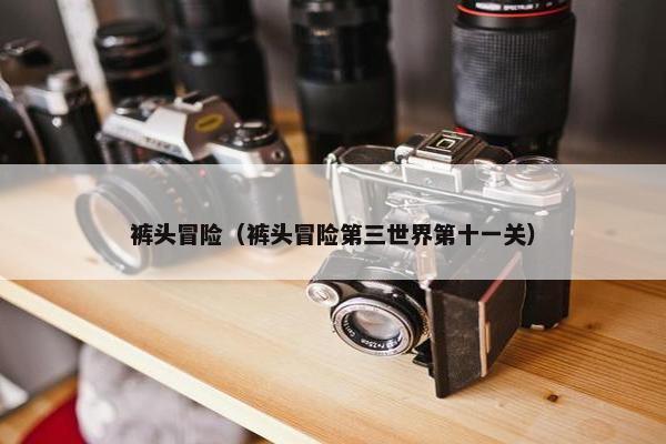 裤头冒险（裤头冒险第三世界第十一关）