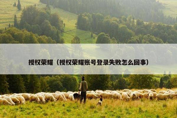 授权荣耀（授权荣耀账号登录失败怎么回事）