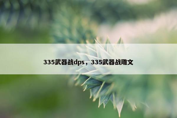 335武器战dps，335武器战雕文